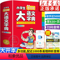 [正版]2024小学生大语文字典小学生多功能大全四字彩图彩色版中华现代汉语词语词典工具书中小学字典儿童成语积累大全训练
