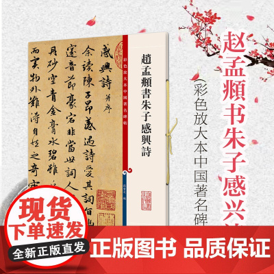 赵孟頫书朱子感兴诗 彩色放大本中国著名碑帖第五辑 篆刻碑帖 上海辞书出版社