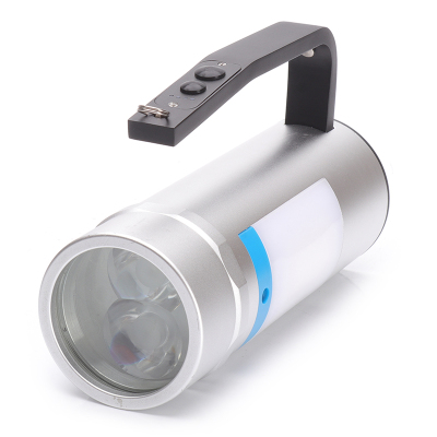 鼎晟丰(DSF) DSFB-6201A 2*12W DC22.2V 手提防爆强光探照灯 (计量单位:盏) 银色