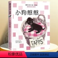 小狗憨憨-注音版 [正版]兔子坡注音版二年级 6-7-8-9-10-12岁一二三四年级小学生课外阅读物图书儿童文学小说