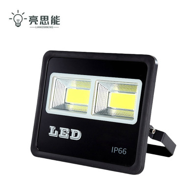 亮思能 LED投光灯 防水投光灯 100W 个