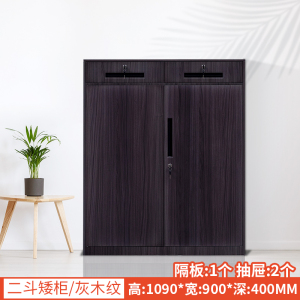 汉诺鑫威办公室文件柜资料档案铁皮柜子储物带锁财务铁柜书柜阳台矮柜