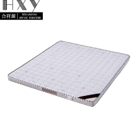 合祥源 床垫 1200*2000*100mm (计价单位:张)