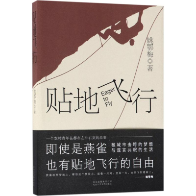 醉染图书贴地飞行9787530217276
