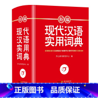 新编现代汉语实用词典 [正版]新编现代汉语实用词典高中初中小学语文词典字典成语小词典小学生汉语词典现代汉语词典第7版统编