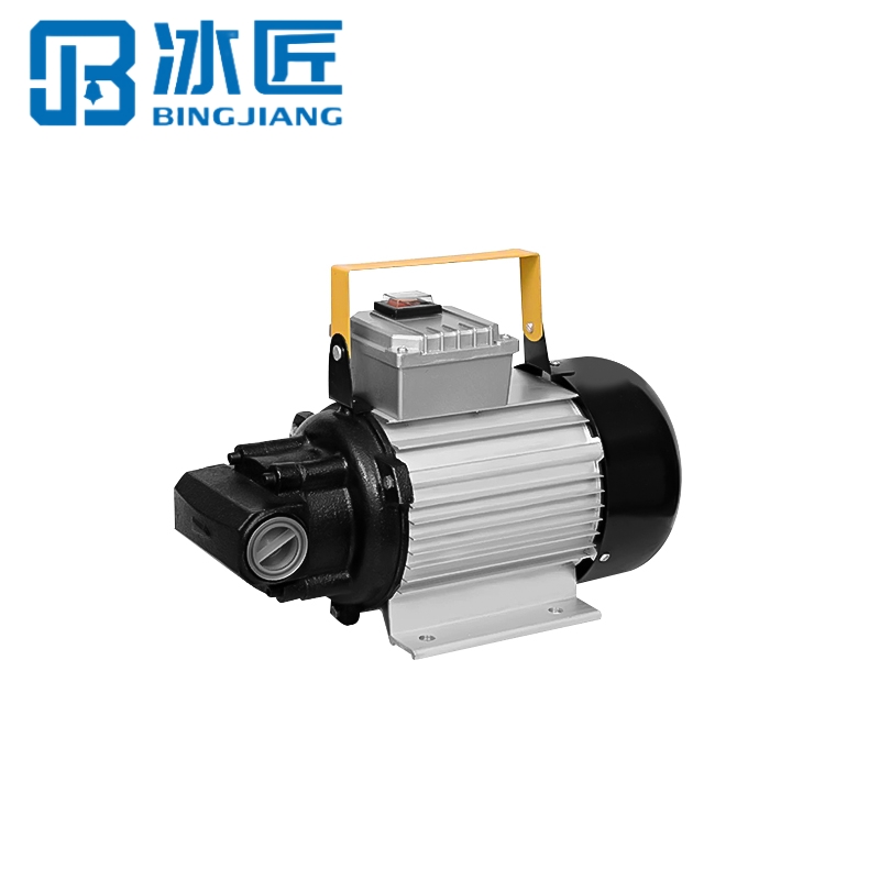 冰匠 电动齿轮泵 大功率抽油泵 220V1100W 台