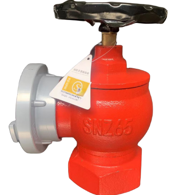 祥雨 室内消火栓 SNZ65