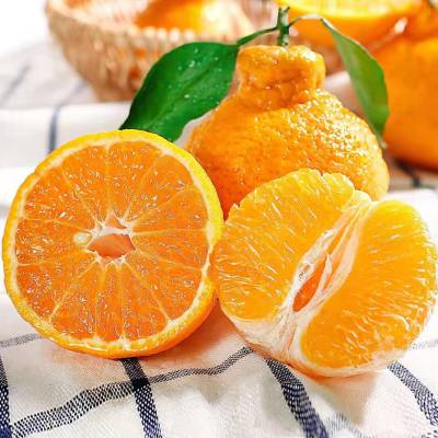 鲜贝达不知火丑橘9斤装[单果65-70mm]VC橙子桔子