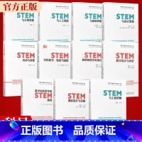 [全11册]中国STEM教育2029行动计划丛书 [正版]STEM与人工智能 中国STEM教育2029行动计划丛书 王素