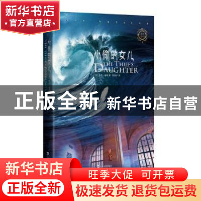 正版 小偷的女儿 (美) 杰夫·惠勒 上海文艺出版社 9787532164196