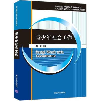正版新书]青少年社会工作(高等院校公共管理类专业系列教材) 大