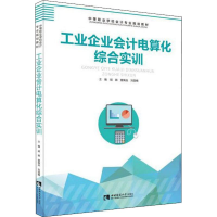 音像工业企业会计电算化综合实训胡颖,雷佩垚,刘菡楠 编