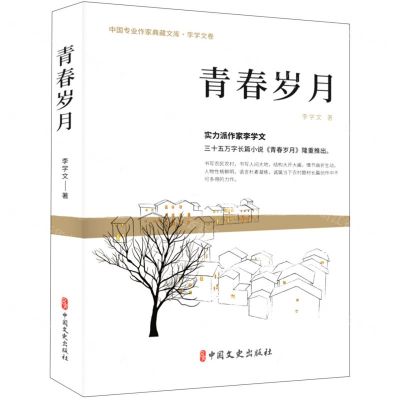 [N]青春岁月/中国专业作家典藏文库-9787520536202