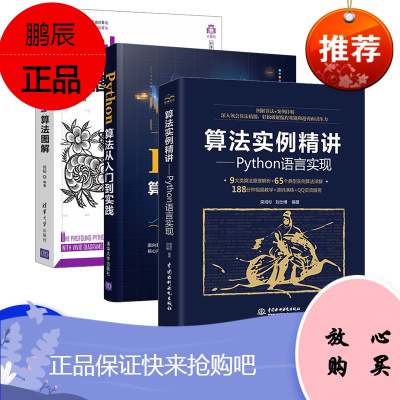 算法实例精讲Python语言实现数据结构算法入门Python编程入门进阶图书算法导论算法与数据结构