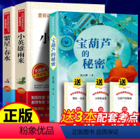 全3册:宝葫芦的秘密+小英雄+繁星春水 [正版]宝葫芦的秘密 小学版张天翼课外书三年级下四年级五年级六年级儿童书籍小
