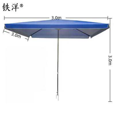 铁洋 宝蓝四方户外遮阳雨棚 钢叉款3.0m*3.0m 把