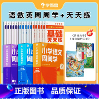 [语文+数学通用+英语]周周学+天天练(赠大语文分级阅读) 一年级上 [正版]2023小学数学语文英语天天练+周周学组合