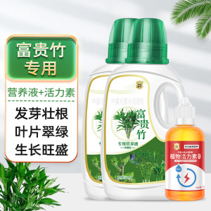 [补贴10%]富贵竹专用营养液治叶子发黄转运竹节节高文昌竹水竹水培植物生根