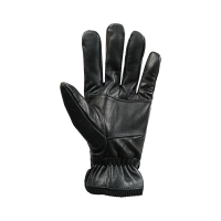 丛信哲 男女同款手套 T1/双