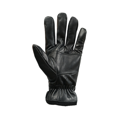 丛信哲 男女同款手套 T1/双