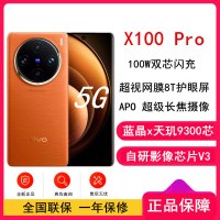 vivo X100 Pro 落日橙 16GB+512GB 蓝晶x天玑9300旗舰芯 蔡司影像 LPDDR5X闪存 100W双芯闪充 5G拍照 全新自研影像芯片V3 手机