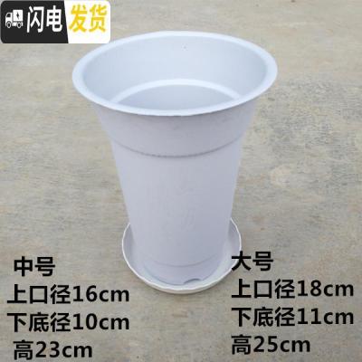 三维工匠塑料花盘 兰花专用花盆 塑料兰花盆 塑料花盆 白色[小号口径16高23]不带托盘 兰花盆[5个花盆,实发花盆容器