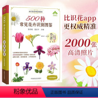 [正版]500种常见的花卉图鉴 彩图版野外原植物鉴别图册植物百科全书籍花艺素材大全教程书籍身边花草树木速查图鉴