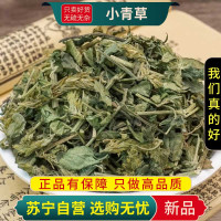 甄选小青草100克爵床草赤眼老母草麦穗癀煮水泡茶正品新货无硫另售红枣