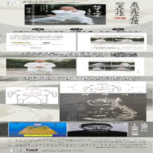 [M]赵堡太极拳拳理拳法秘笈-9787530497449