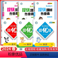 三下语数英6本[亮点提优班+亮点提优课时作业本]江苏专用 小学通用 [正版]2024亮点给力提优班多维互动空间二年级下册