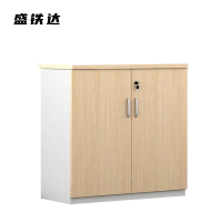 盛铁达 2门矮柜800*400*800mm STD-XTA01 个