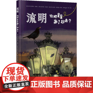 流明:谁把星星藏了起来? [意大利]瓦伦蒂纳·戈塔迪 光污染的原因危害影响普及科普知识书儿童科普百科图书正版原著