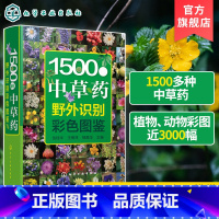 [正版]1500种中草药野外识别彩色图鉴 中草药书入门医学书籍 本草纲目 医学自学书籍中草药大全常用中药养生功效药方健