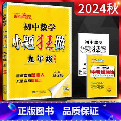 数学 全一册[苏科版] [正版]江苏版2024版恩波教育 小题狂做提优版九年级数学全一册苏科版SK 初三9年级数学上下册