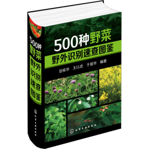 [M]500种野菜野外识别速查图鉴-9787122245977