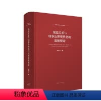 [正版] 2020新书 规范关系与刑事治理现代化的道德使命 田宏杰著 9787510929397 人民法院出版社