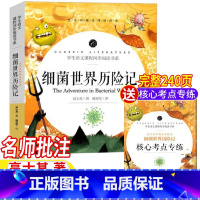 细菌世界历险记 [正版]快乐读书吧四年级下册细菌世界历险记灰尘的旅行高士其著原著完整无删减版名师导读带批注读后感考点专练