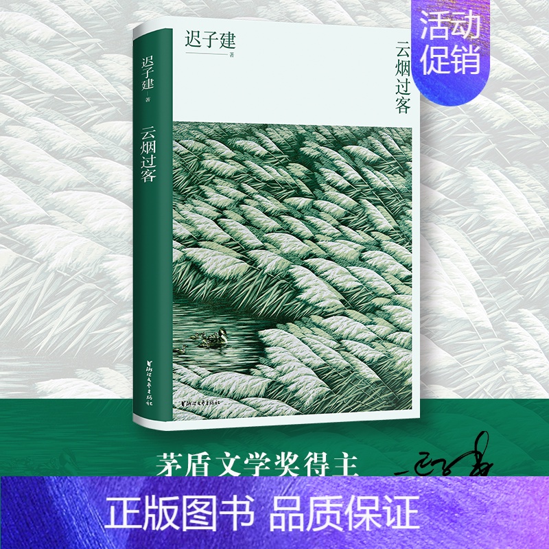 [正版]云烟过客 迟子建散文自选集 浙江文艺出版社名家文学作品选集中国近代随笔迟子建散文集以人物为写作核心书店书籍