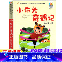 小布头奇遇记 [正版]小布头奇遇记注音版孙幼军著一年级二年级三四年级上册下册通用彩图拼音版长江少年儿童出版社学校阅读书目