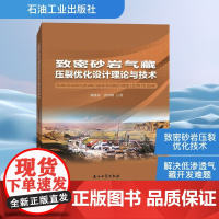 致密砂岩气藏压裂优化设计理论与技术 郭建春,曾凡辉 著 化学工业专业科技 正版图书籍 石油工业出版社
