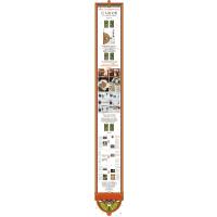 巨人的文明:罗马,从共和国到帝国,从恺撒到基督