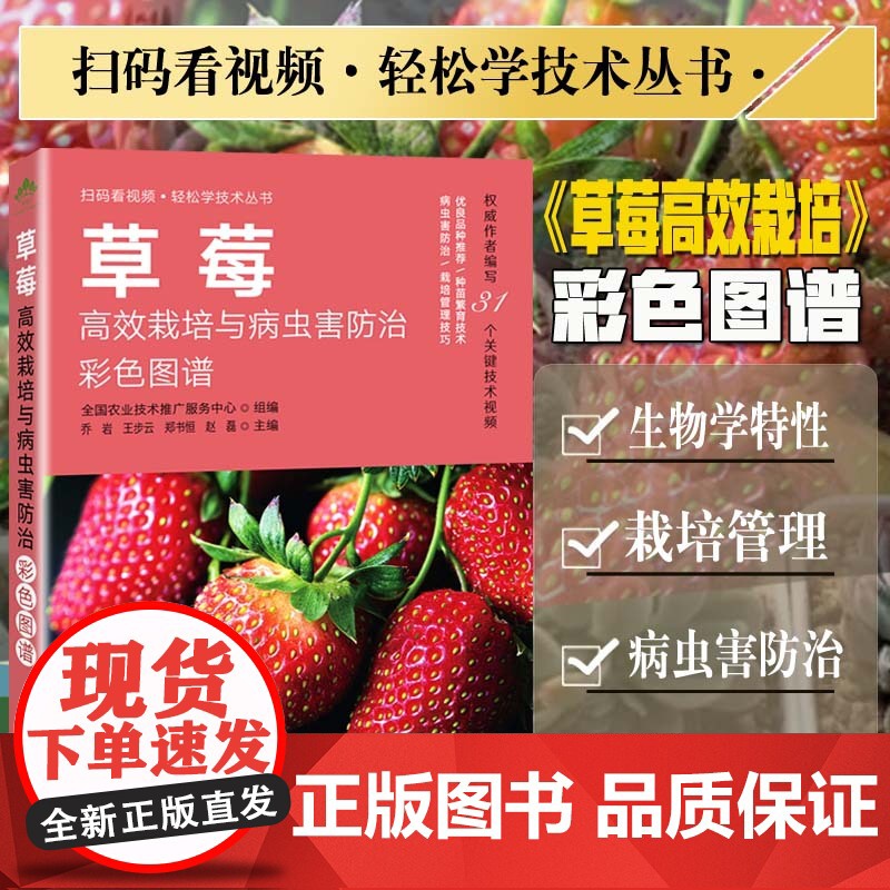草莓高效栽培与病虫害防治彩色图谱 扫码看视频 简单学技术丛书 肥水管理技术栽培管理 种苗繁育技术 草莓病虫害防治技术云仓