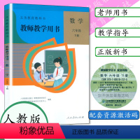 [正版]2024小学数学教师教学用书 6年级数学下人教版小学数学教参 教师教学用书 六年级下册 数学 不含光盘数学六年