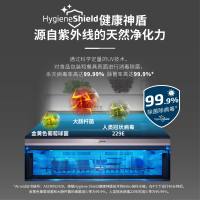 倍科大容量白色玻璃两门冰箱 RCNE560E20HGW