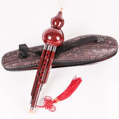 免费刻字胶木葫芦丝乐器初学成人儿童学生初学者c调降b防摔胡卢丝