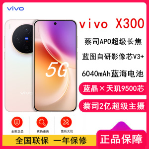 [全新]vivo X300 幸运彩 16GB+512GB 蓝晶×天玑9500芯 大电池 90W快充 支持无线充电 蔡司超级潜望长焦 拍照 AI手机