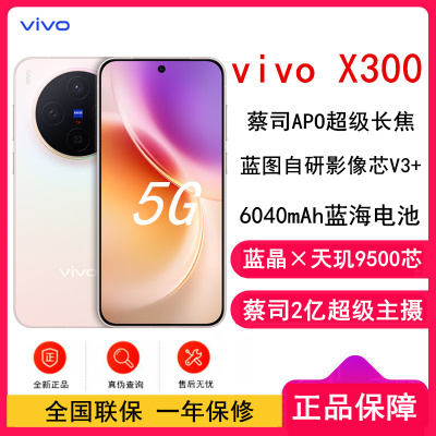 [全新]vivo X300 幸运彩 16GB+512GB 蓝晶×天玑9500芯 大电池 90W快充 支持无线充电 蔡司超级潜望长焦 拍照 AI手机