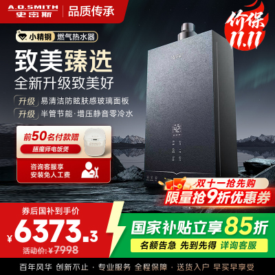 AO史密斯新品小体积16升零冷水燃气热水器[小精钢EJ5Wi]增压大水量恒温 静音 节能