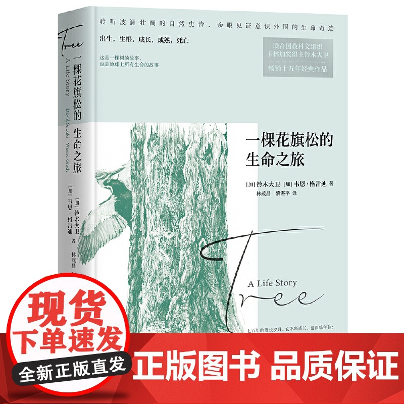 一棵花旗松的生命之旅