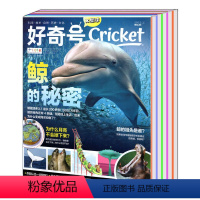[全年共24本]好奇号2022年1-12月磕碰磨损(2本一套) [正版]打包/全年好奇号杂志2023/2024年1/2/